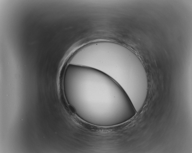 X0000115840296200911131112