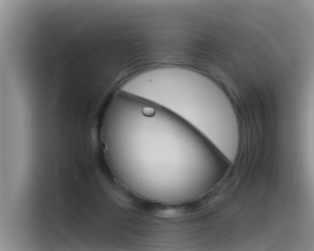 X0000115840312200911131111