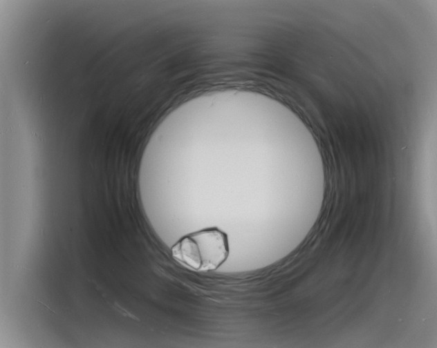 X0000115840328200911131111