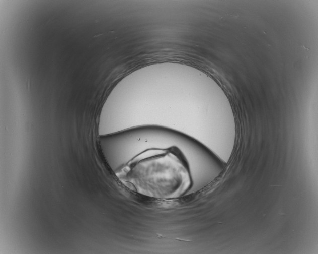 X0000115840333200911131111