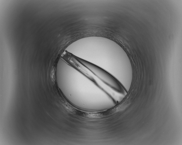 X0000115840336200911131111