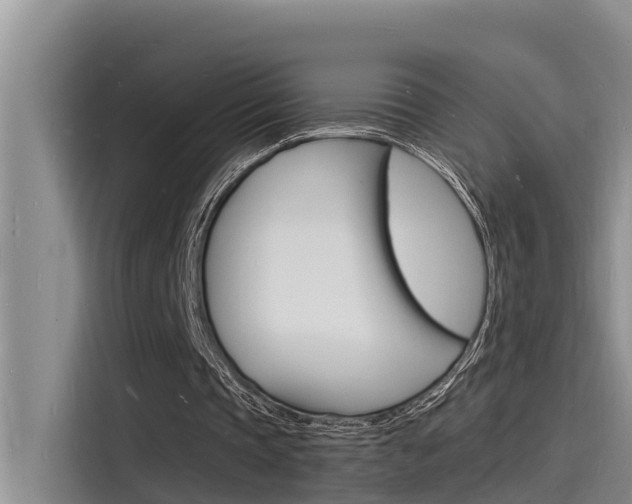X0000115840337200911131111