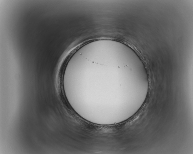 X0000115840343200911131111
