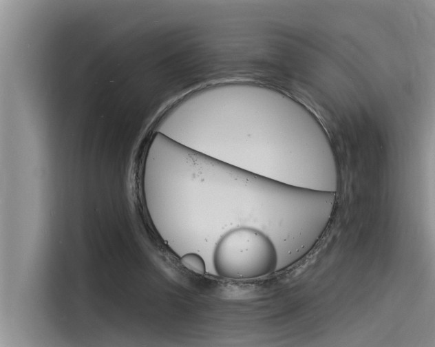 X0000115840346200911131111