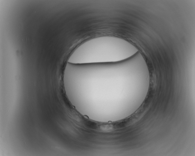 X0000115840355200911131111