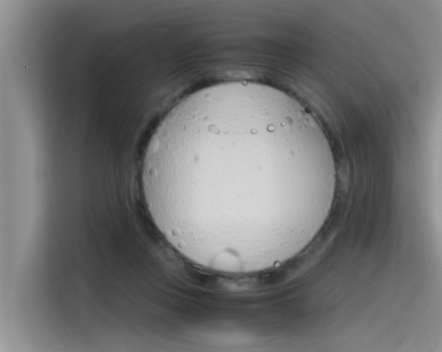 X0000115840359200911131111