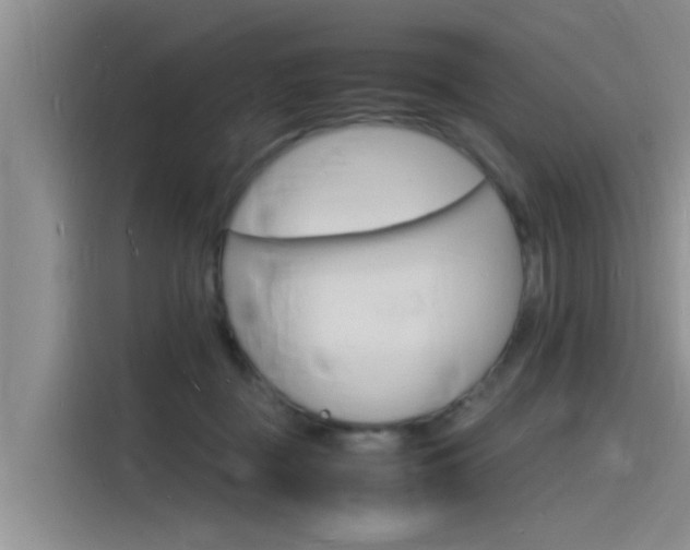 X0000115840363200911131111