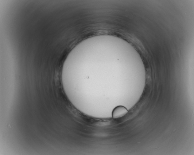 X0000115840369200911131111