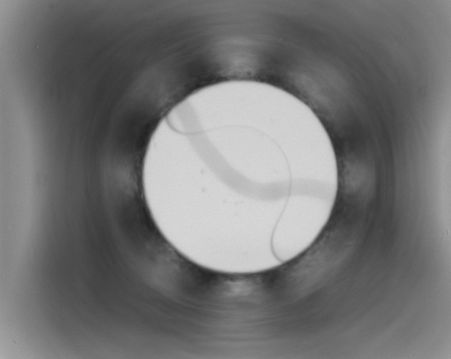 X0000115840370200911131111