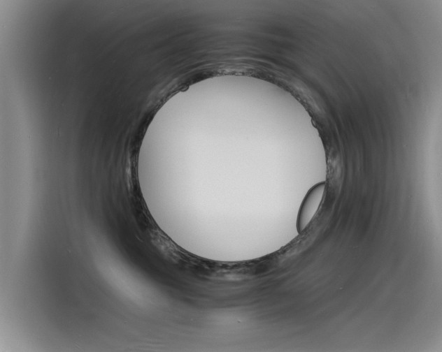 X0000115840381200911131111
