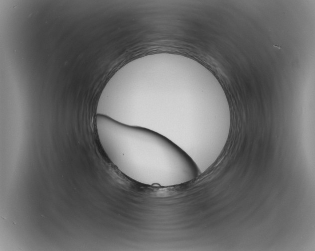 X0000115840382200911131111