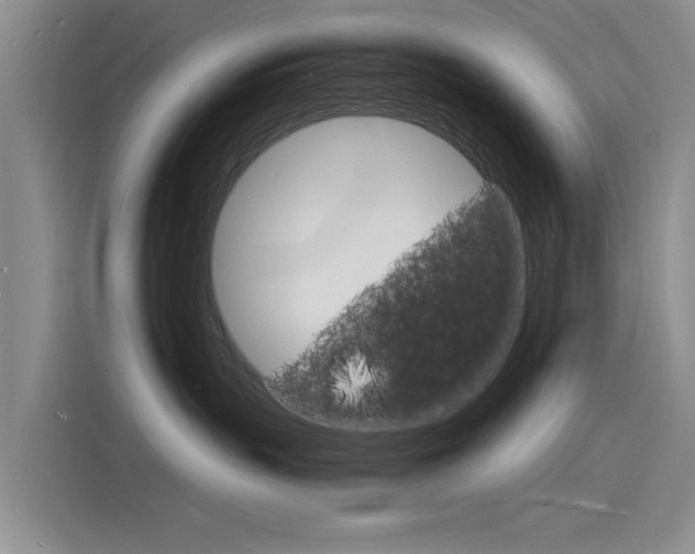 X0000115840383200911131111