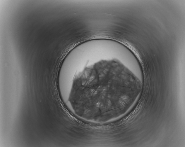 X0000115840385200911131111