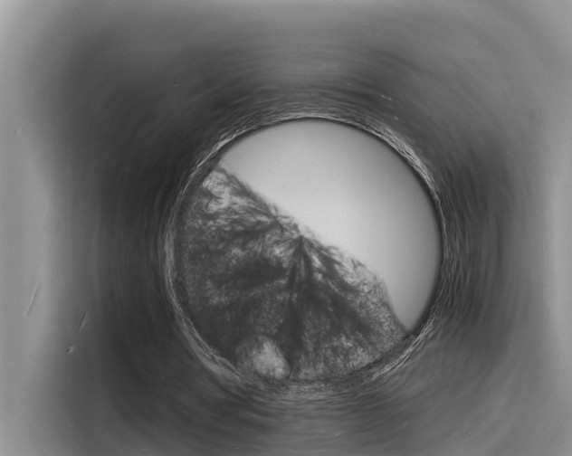 X0000115840386200911131110