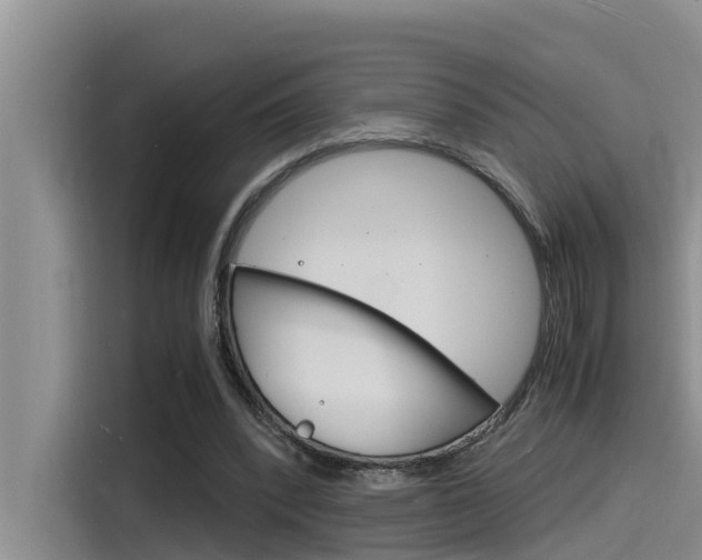 X0000115840392200911131110