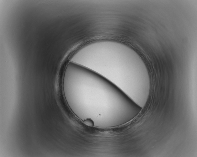 X0000115840396200911131110
