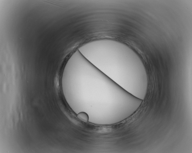 X0000115840398200911131110
