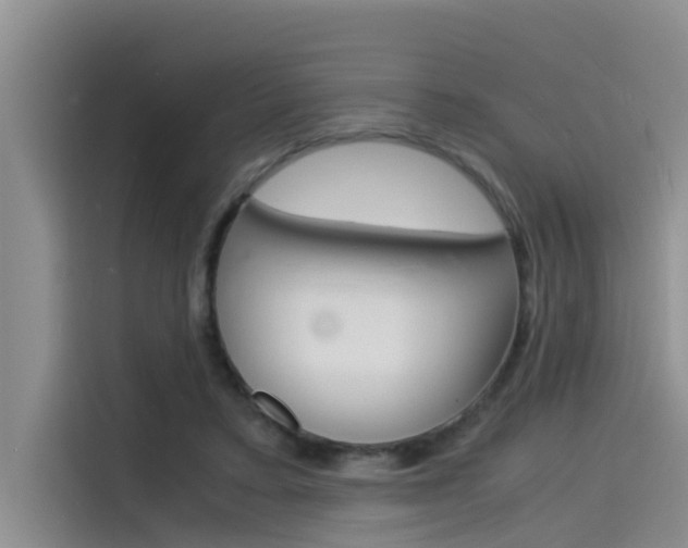 X0000115840403200911131110