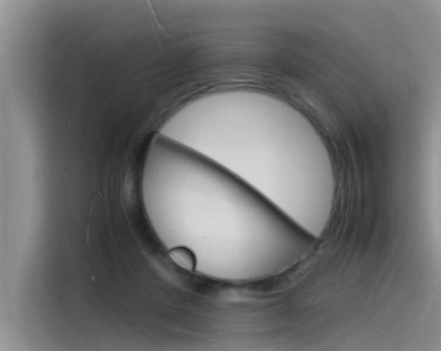 X0000115840408200911131110