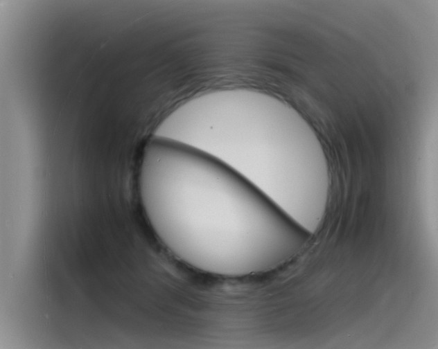 X0000115840416200911131110