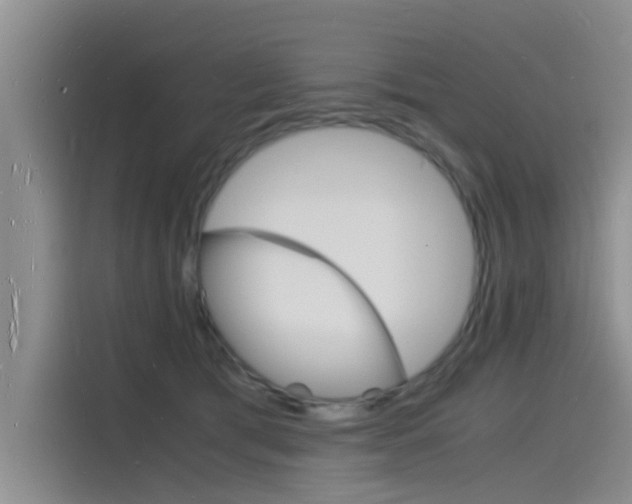 X0000115840417200911131110