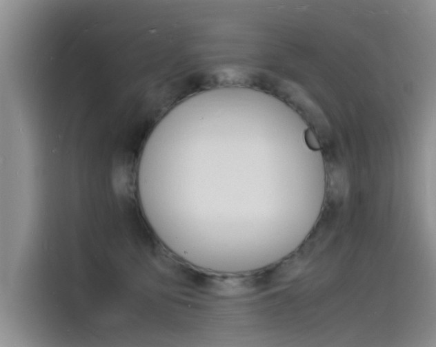 X0000115840419200911131110