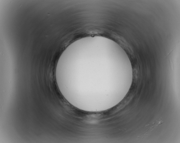 X0000115840422200911131110