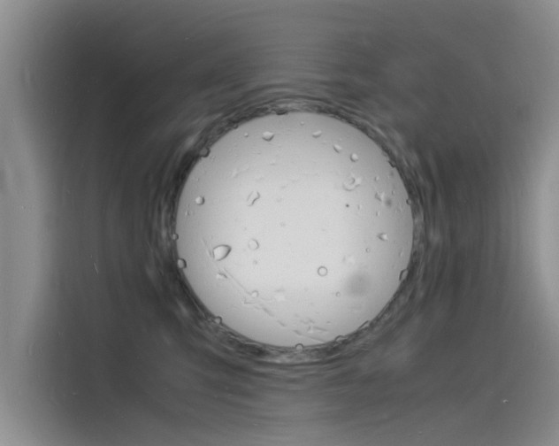 X0000115840423200911131110