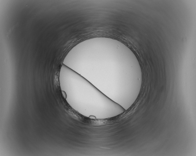 X0000115840432200911131110