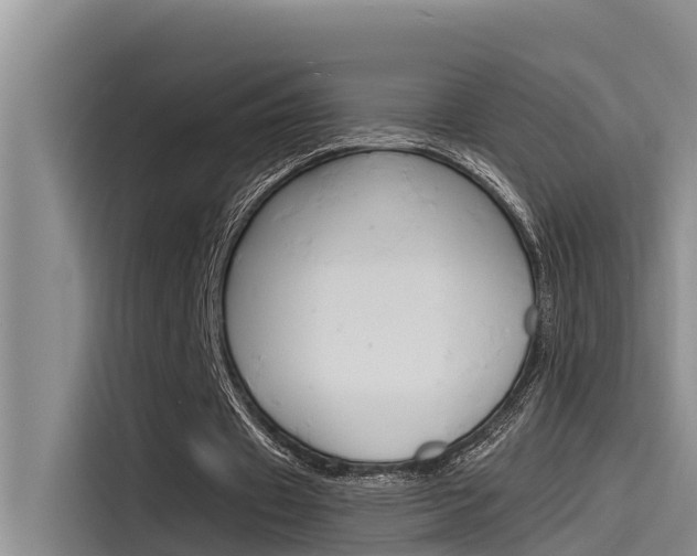 X0000115840433200911131109