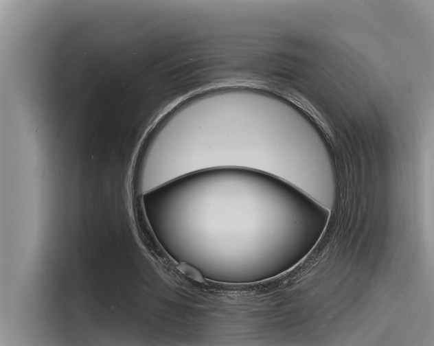 X0000115840436200911131109