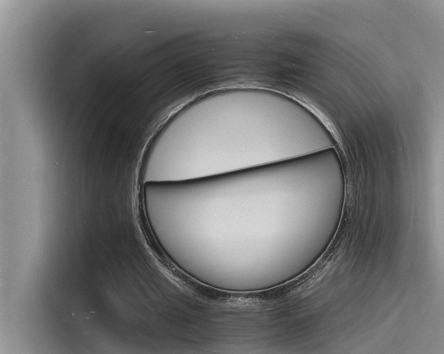 X0000115840437200911131109