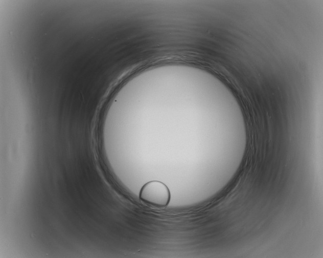 X0000115840444200911131109