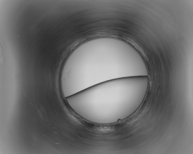 X0000115840445200911131109