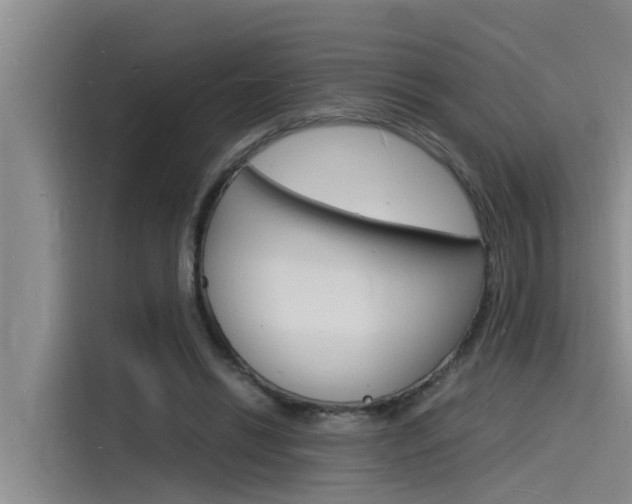 X0000115840446200911131109