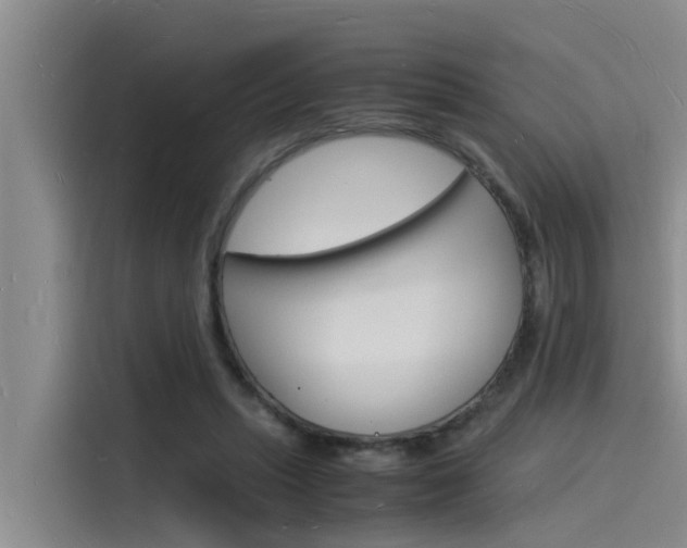X0000115840447200911131109