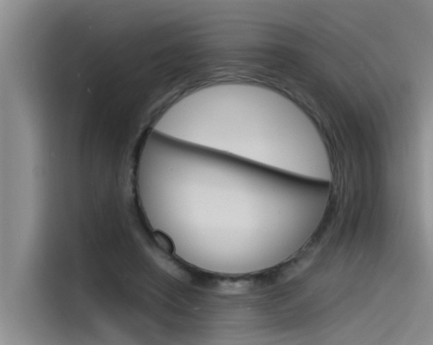 X0000115840450200911131109