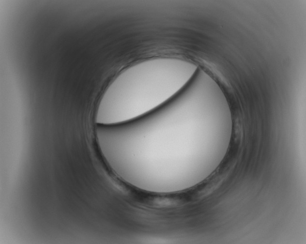X0000115840453200911131110