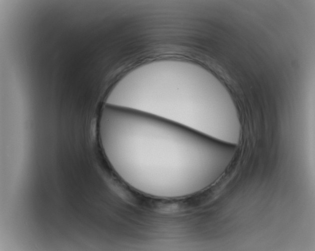 X0000115840454200911131110