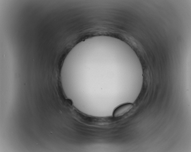 X0000115840463200911131110
