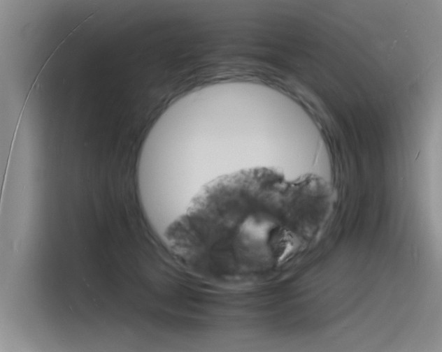 X0000115840465200911131110