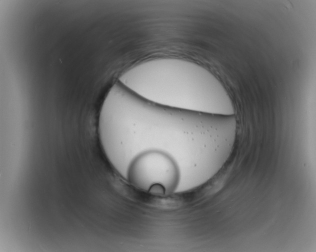 X0000115840466200911131110