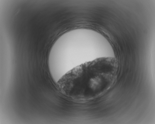 X0000115840467200911131110