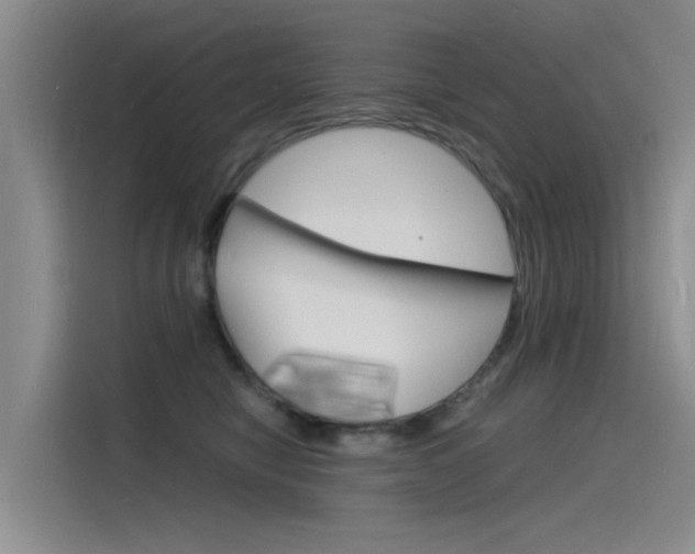X0000115840470200911131110