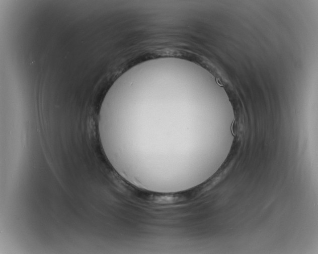 X0000115840473200911131110