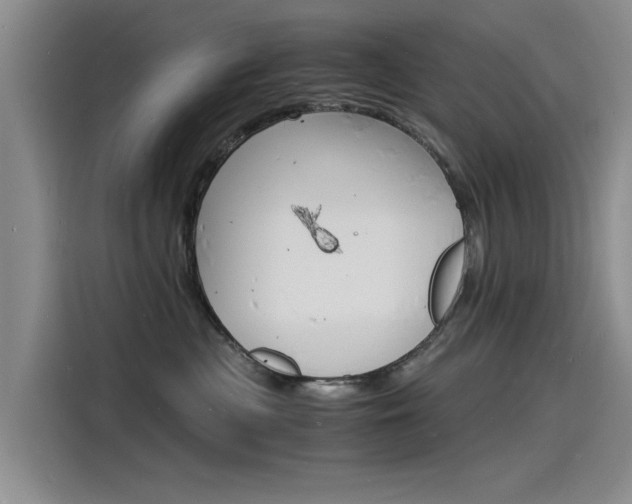 X0000115840477200911131110
