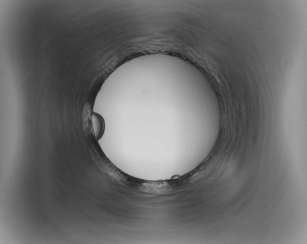X0000115840480200911131110