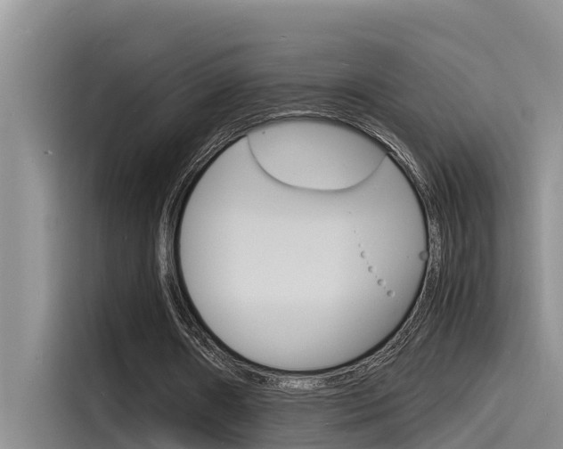 X0000115840482200911131109