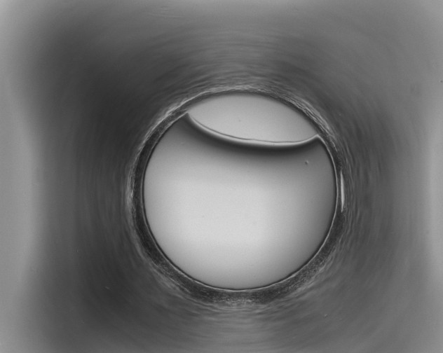 X0000115840483200911131109
