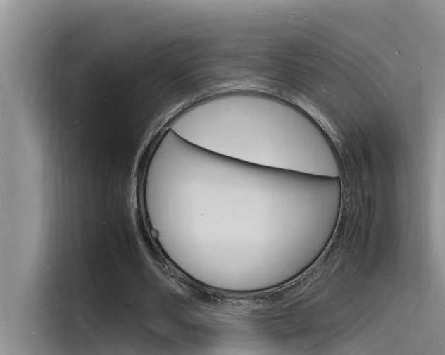 X0000115840486200911131109